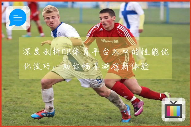 深度剖析ng体育平台入口的性能优化技巧，助你畅享游戏新体验