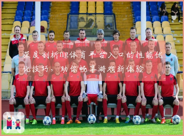 深度剖析ng体育平台入口的性能优化技巧，助你畅享游戏新体验