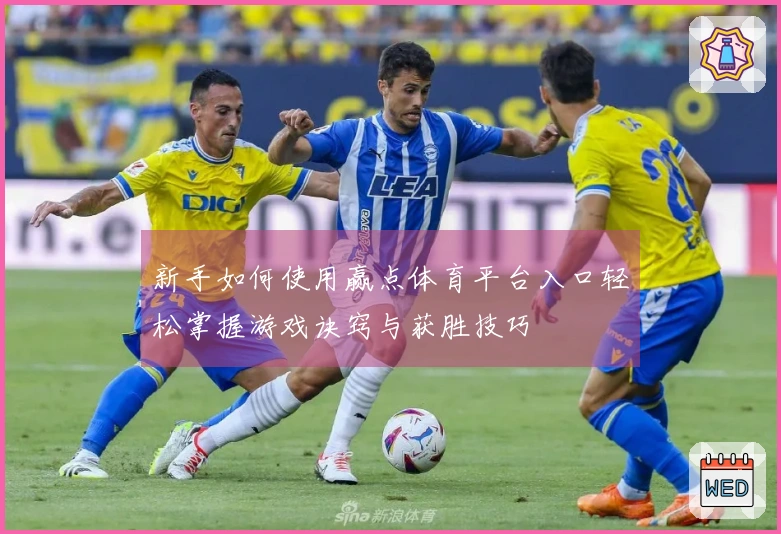 新手如何使用赢点体育平台入口轻松掌握游戏诀窍与获胜技巧