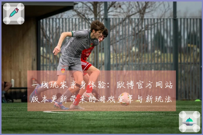 一线玩家亲身体验：欧博官方网站版本更新带来的游戏变革与新玩法