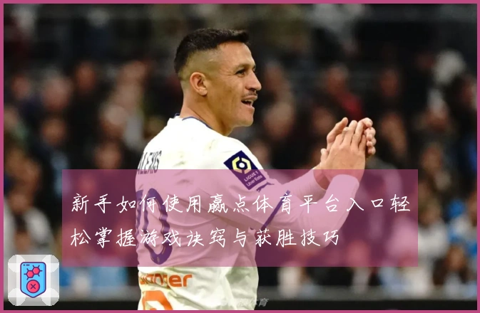 新手如何使用赢点体育平台入口轻松掌握游戏诀窍与获胜技巧